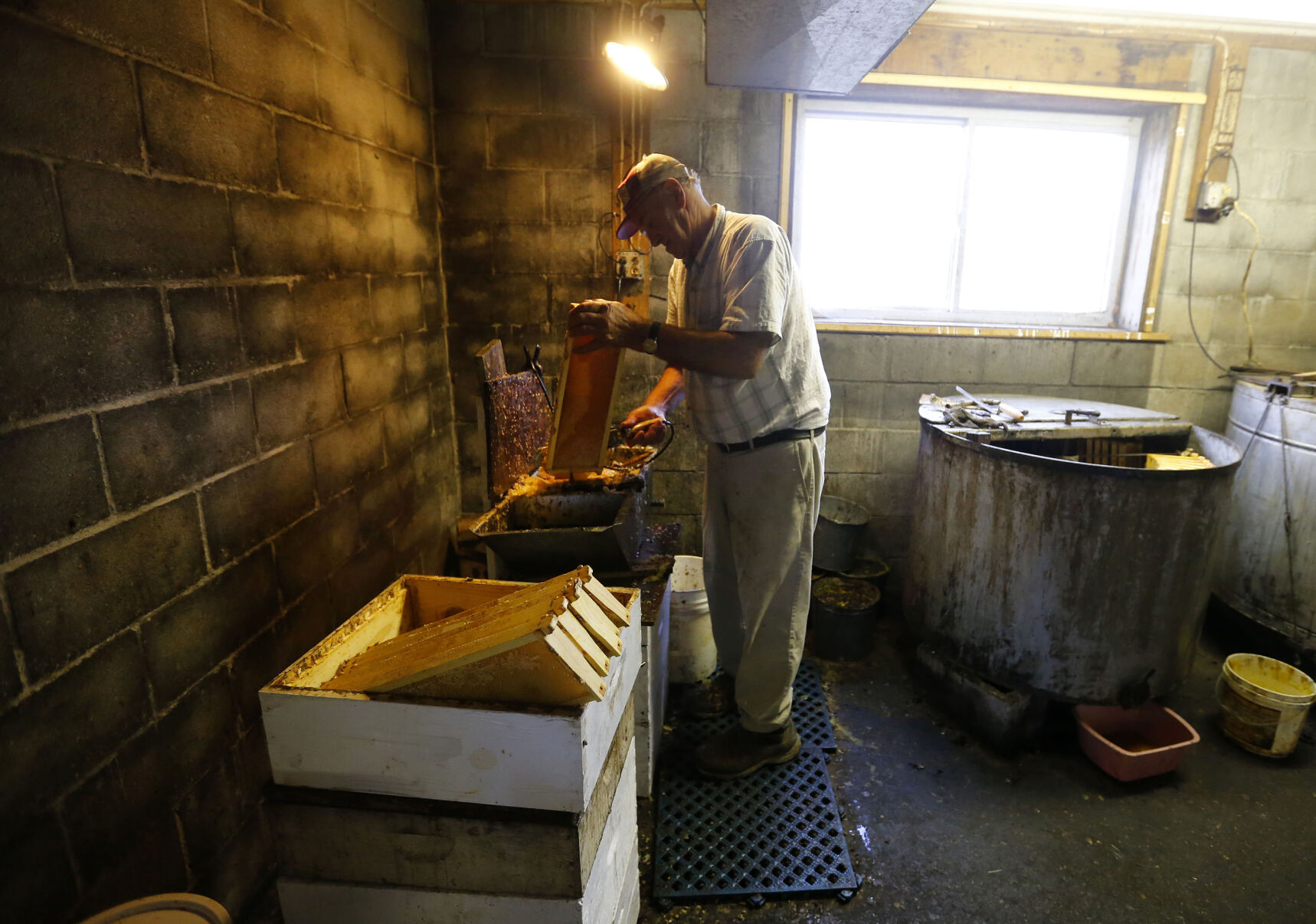 Beekeepers and Audubon